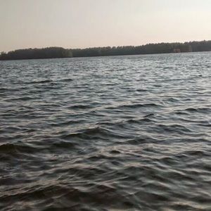 Meet your Posher, Gary